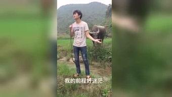 国产经典福利视频合集,重温经典，感受时代魅力