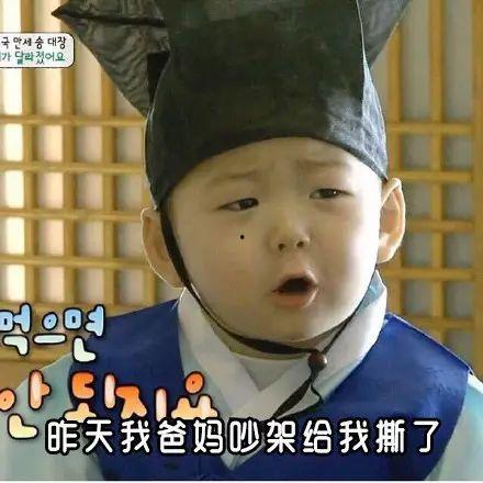 色情国产在线视频表情包,网络狂欢背后的隐忧与反思