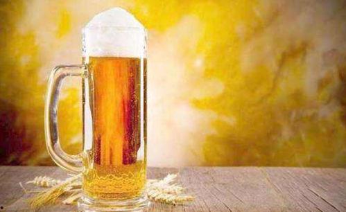 波兰人喝国产啤酒视频