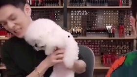 国产男爱豆古装视频大全,国产男爱豆古装风采大盘点