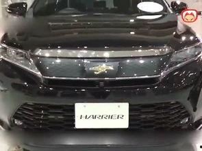 国产汽车在国外越野视频