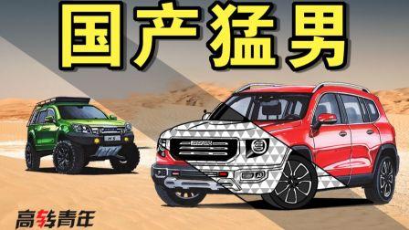 港媒评测国产车视频,港媒评测视频揭示惊艳表现