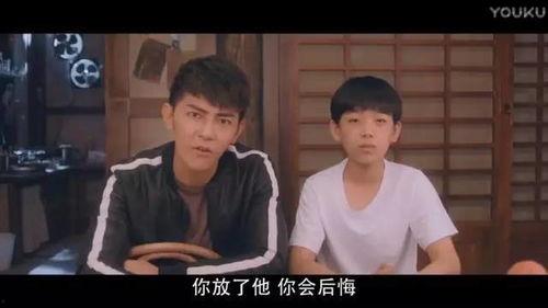 国产校园打架网剧视频合集,国产打架网剧精彩合集回顾