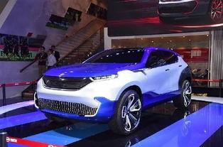 东莞收国产车视频,东莞街头国产车视频集锦