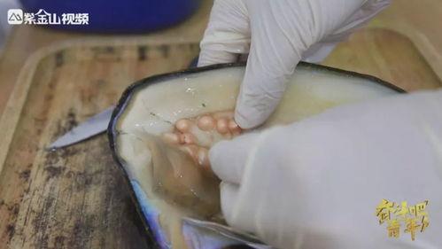 国产和外国象牙蚌视频,品质对比与市场分析