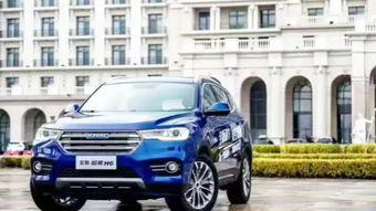 国产越野车穿越世界视频,国产越野车征服五大洲壮丽穿越之旅