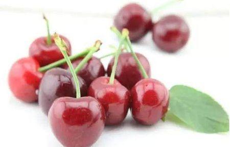 国产小樱桃测评分析视频