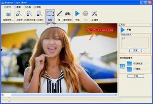 国产动漫视频去水印软件